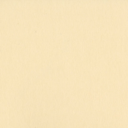 CARTULINA P/ SCRAPBOOK 12X12 PIGMENT/SMOOTHIES