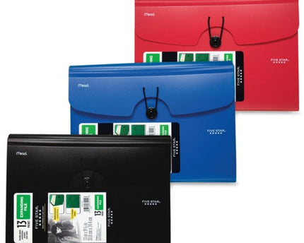 FOLDER EXPANDIBLE 13 POCKET FIVE STAR