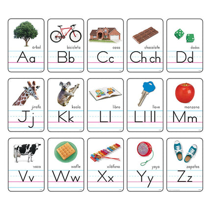 BULLETIN ALPHABET T8056