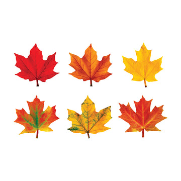 ACCENTCLASSIC MAPLE LEAVES VARIETY