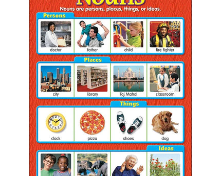 LAMINA NOUNS T38130