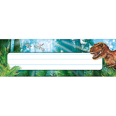 NAME PLATES DISCOVERING DINOSAURS DT