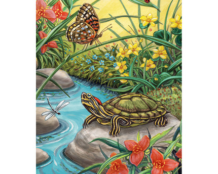 KIT PAINTING BY NUMBERS MY FIRST RED EARED SLIDER