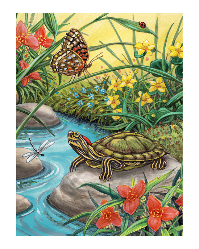 KIT PAINTING BY NUMBERS MY FIRST RED EARED SLIDER