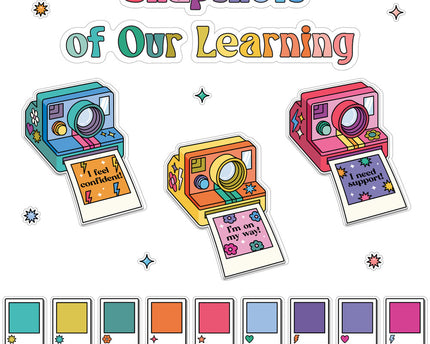 BULLETIN BOARD SNAPSHOTS OF OUR LEARNING