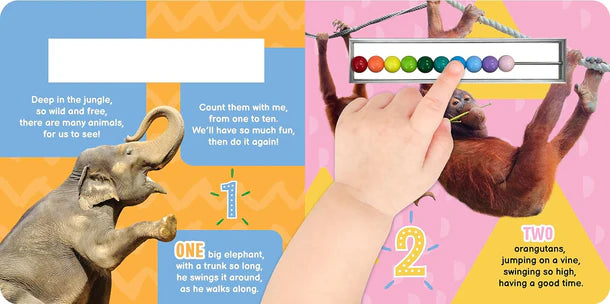 LIBRO WILD COUNTING
