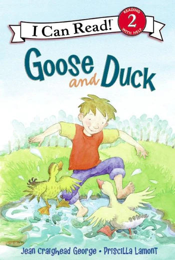 LIRBO GOOSE AND DUCK