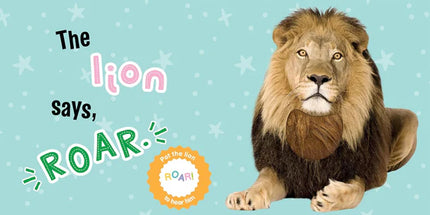 LIBRO SEE TOUCH HEAR WILD ANIMALS