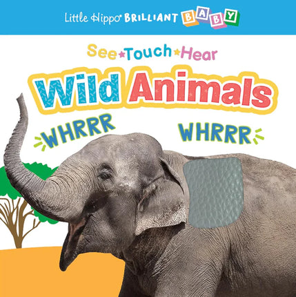 LIBRO SEE TOUCH HEAR WILD ANIMALS