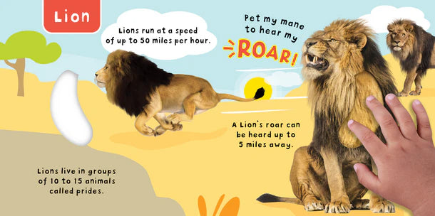 LIBRO WILD ANIMALS