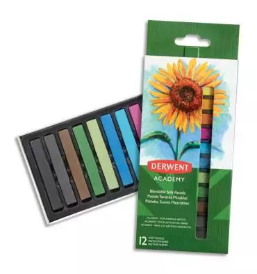 PASTELES SECOS DERWENT 12PC