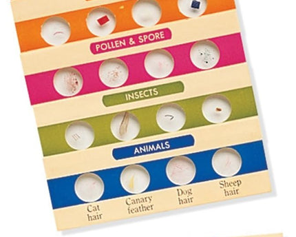 SET 1 PORTA OBEJTOS PREPARADOS