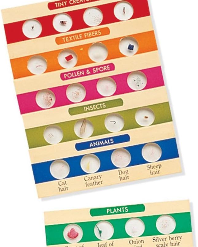 SET 1 PORTA OBEJTOS PREPARADOS