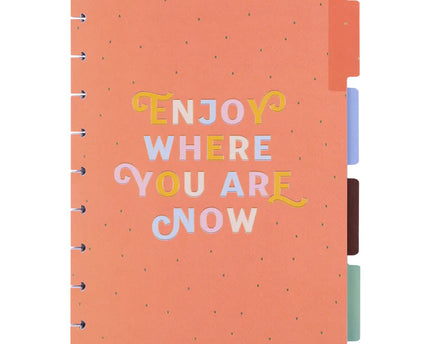 DIVISOR P/ BINDER ICE CREAM CLASIC