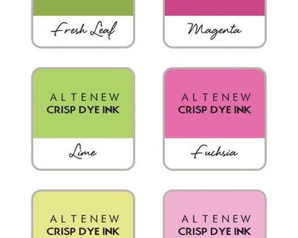 SET DE MINI CUBOS DE TINTA SPRING BOUQUET