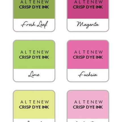 SET DE MINI CUBOS DE TINTA SPRING BOUQUET