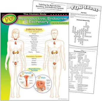LAMINA REPRODUCTIVE ENDOCRIME