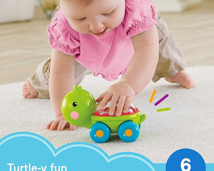JUGUETE POPPITY POP TURTLE