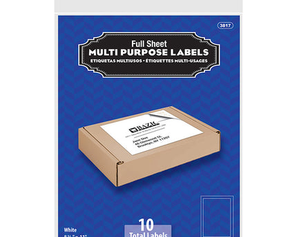 PAPEL STICKERS CARTA 10HJS BAZIC