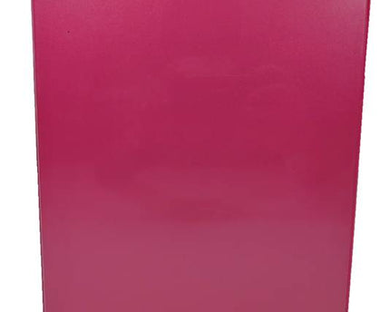 BINDER ROSADO BAZIC 1PULG