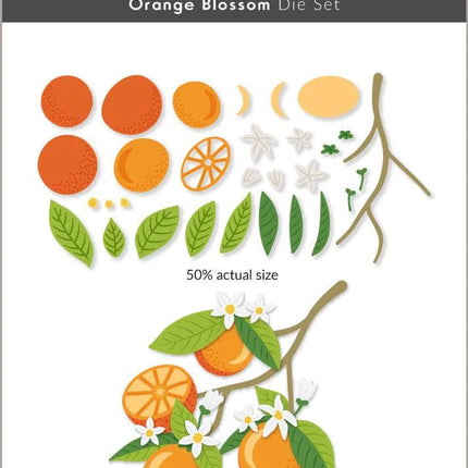 DIE ORANGE BLOSSOM