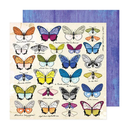 PAPEL PARA SCRAPBOOK DESCUBRE Y CREA MARIPOSAS
