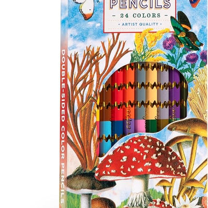 LAPICES MUSHROOM 12 DOUBLE SIDED COLOR