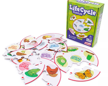 ROMPECABEZA LIFE CYCLE