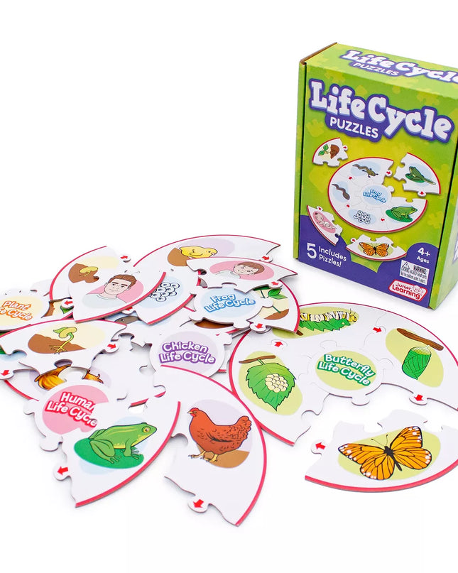 ROMPECABEZA LIFE CYCLE