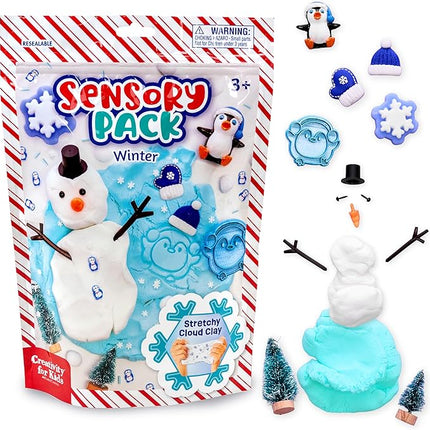 JUGUETE SENSORY PACK WINTER