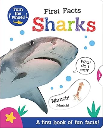 LIBRO FIRST FACTS SHARKS