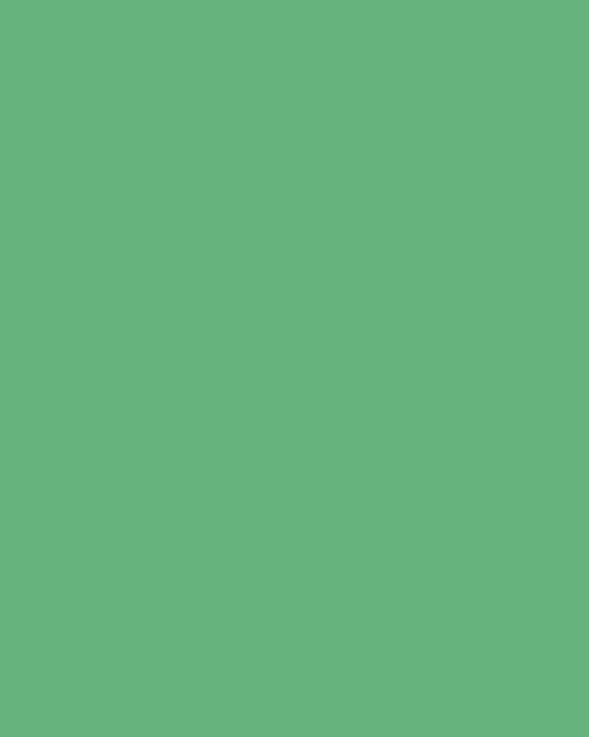 PAPEL KRAFT YDA 36" VERDE LIMON/LITE GRE