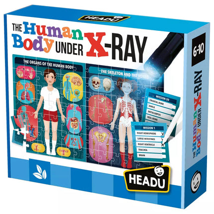 JUGUETE THE HUMAN BODY UNDER X-RAY