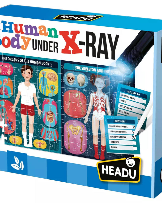 JUGUETE THE HUMAN BODY UNDER X-RAY