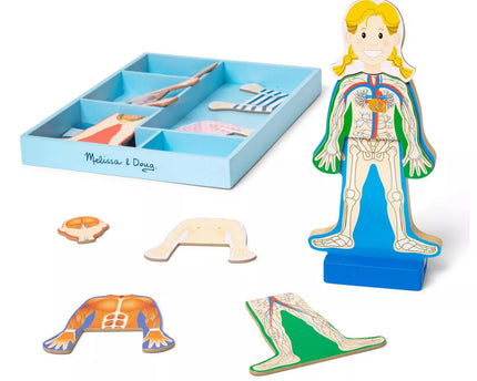 JUGUETE MAGNETICO HUMAN BODY ANATOMY