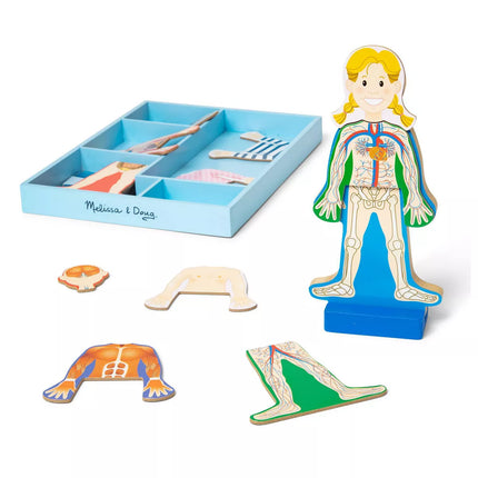 JUGUETE MAGNETICO HUMAN BODY ANATOMY