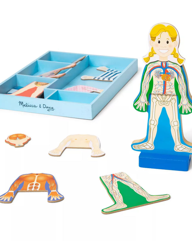 JUGUETE MAGNETICO HUMAN BODY ANATOMY
