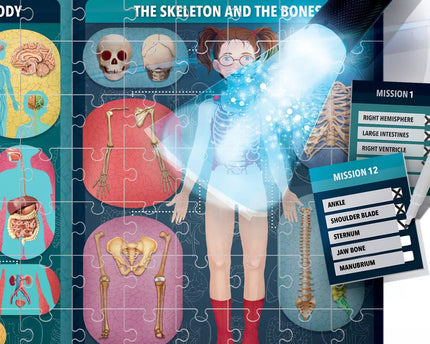 JUGUETE THE HUMAN BODY UNDER X-RAY