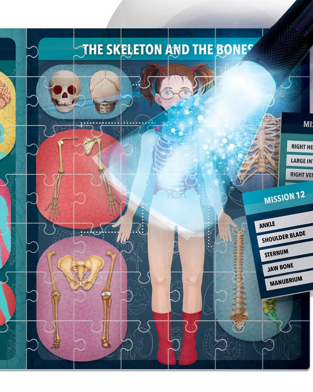 JUGUETE THE HUMAN BODY UNDER X-RAY