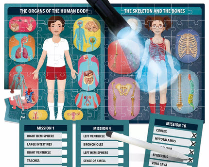 JUGUETE THE HUMAN BODY UNDER X-RAY