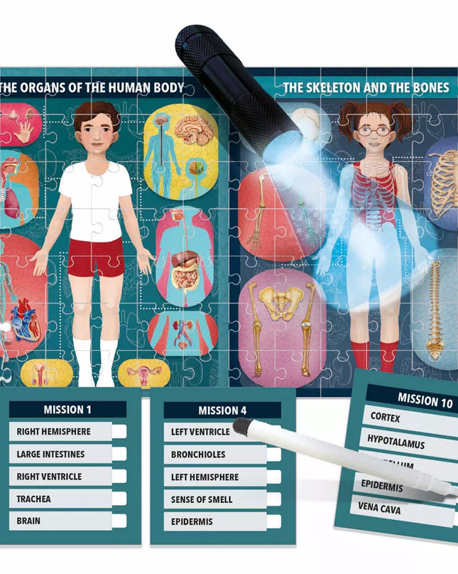 JUGUETE THE HUMAN BODY UNDER X-RAY