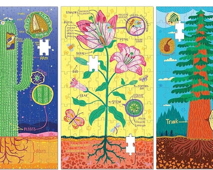 ROMPECABEZAS PLANT ANATOMY SCIENCE SET 3UND