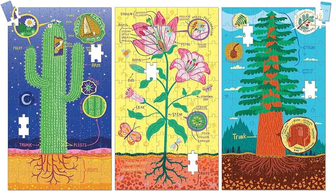 ROMPECABEZAS PLANT ANATOMY SCIENCE SET 3UND