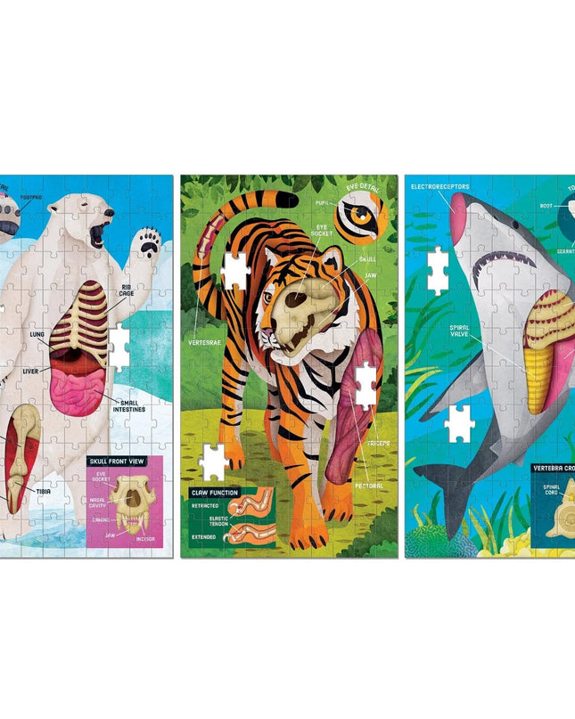 ROMPECABEZAS ANIMAL ANATOMY SCIENCE SET 3UND