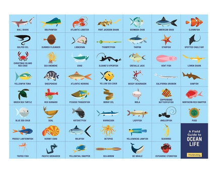 ROMPECABEZAS OCEAN LIFE 64PZ