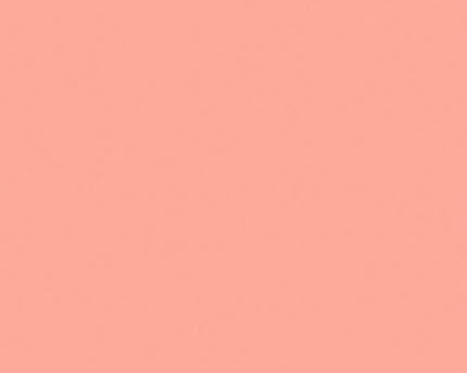 PAPEL CHINA SALMON