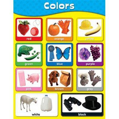 LAMINA COLORS