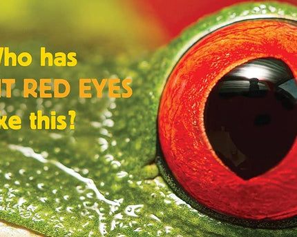 LIBRO BB WHOSE IS IT? EYES