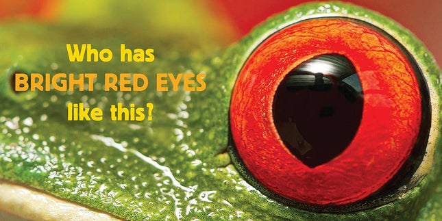 LIBRO BB WHOSE IS IT? EYES