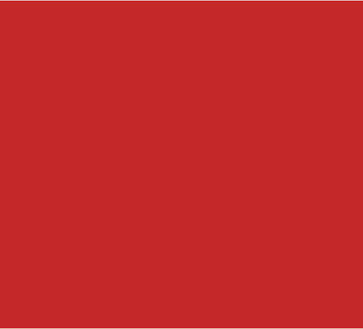 FOAM BOARD RED 20X30 BAZIC